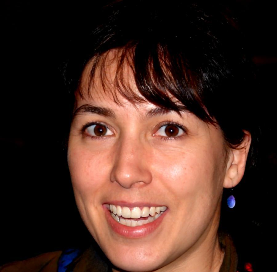 Anastasia Volkov, Security Auditor